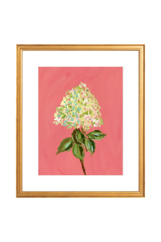 Limelight Hydrangea • Floral Art Print - Bari J. Designs