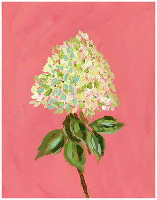 Limelight Hydrangea • Floral Art Print - Bari J. Designs