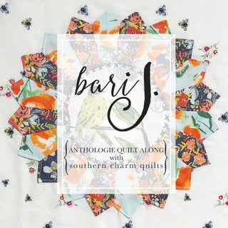 Anthologie Quilt a long with Bari J. and Southern Charm Quilts