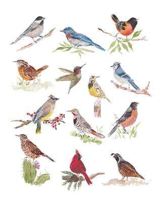 Watercolor Bird Print